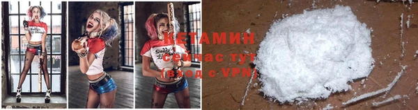 шишки Вязники