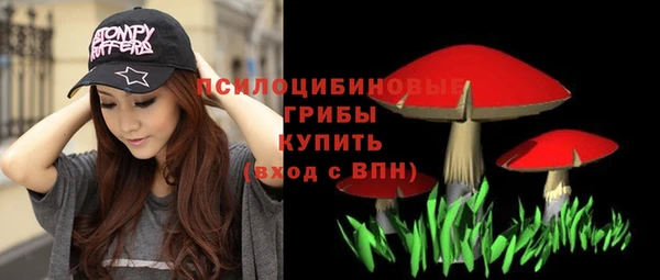 шишки Вязники