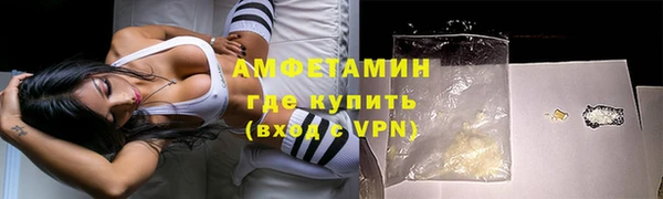 шишки Вязники