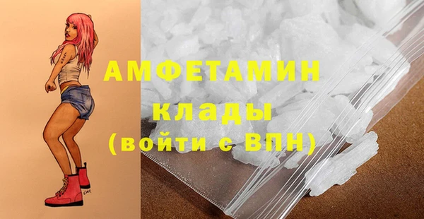 шишки Вязники