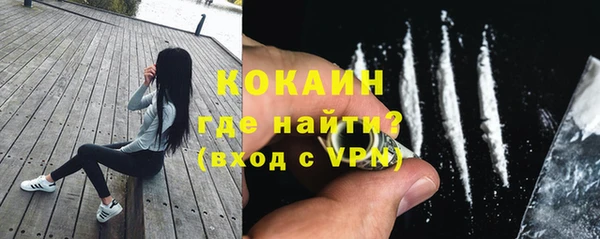 шишки Вязники
