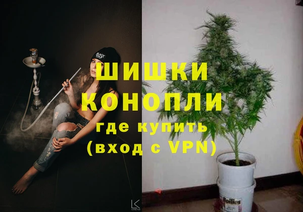 бошки Вяземский